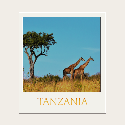 TANZANIA (KILIMANJARO) - Travel Guide+Itinerary